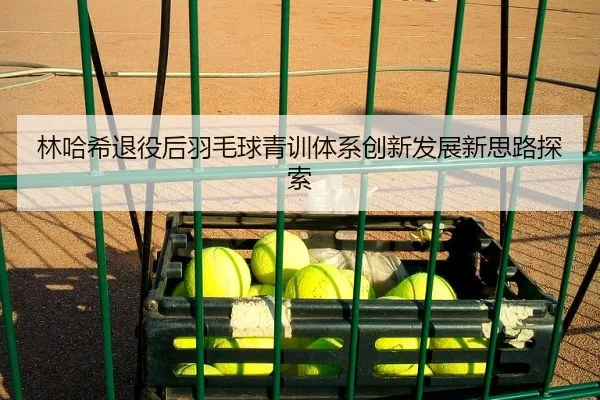 林哈希退役后羽毛球青训体系创新发展新思路探索